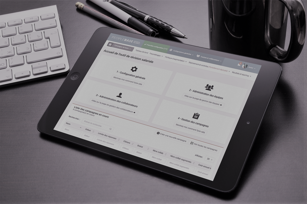présentation du logiciel de révision salariale